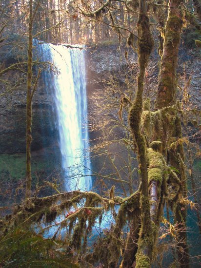 Silver Falls: South Falls in the Winter 04